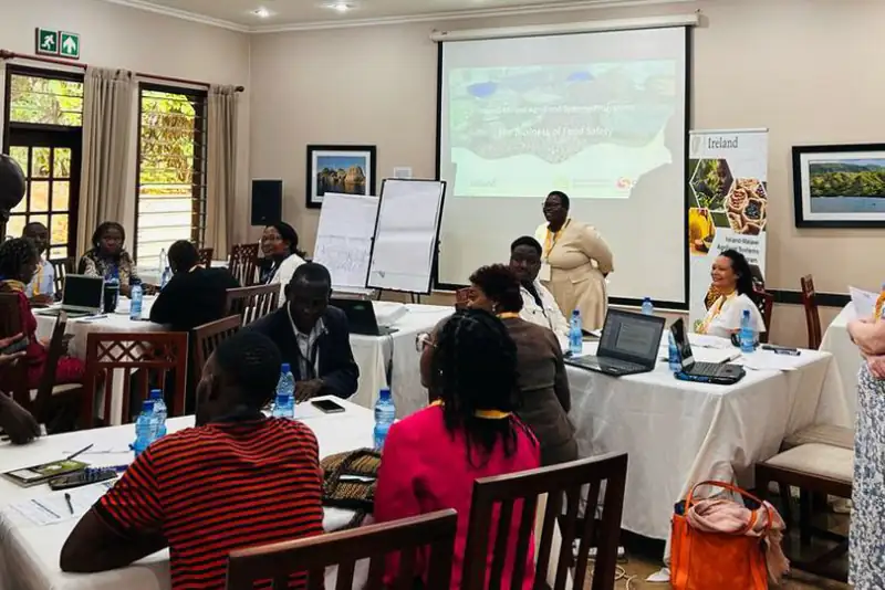 Participants work in small groups at tables during a training in Malawi