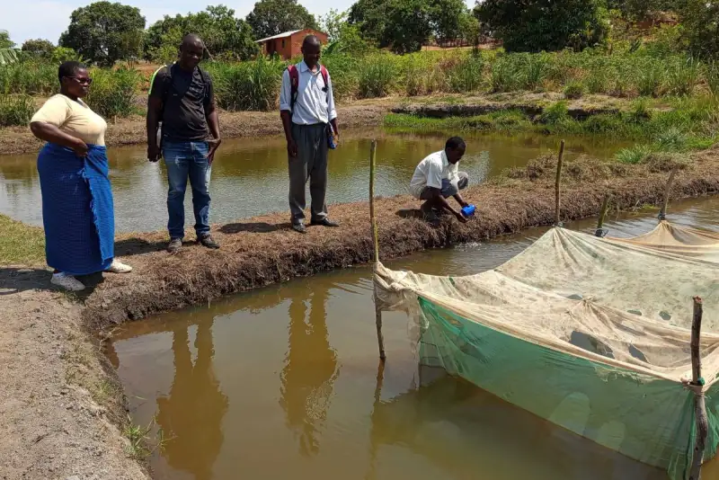 Women farmers and a Sense consultant beside a fish pond with a net cage
