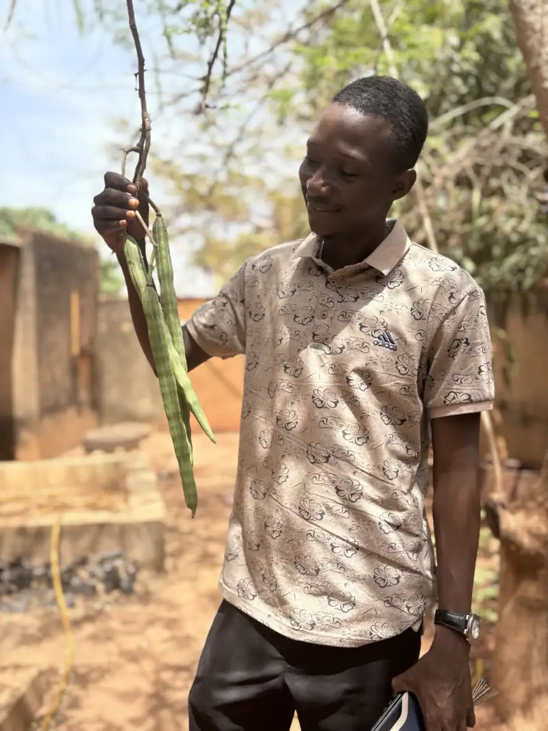 A young man smiling as he holds up a branch of long green seed pods