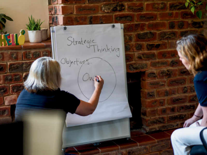training-and-peer-learning